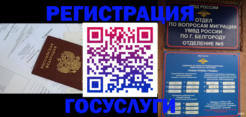 временная прописка в Таре